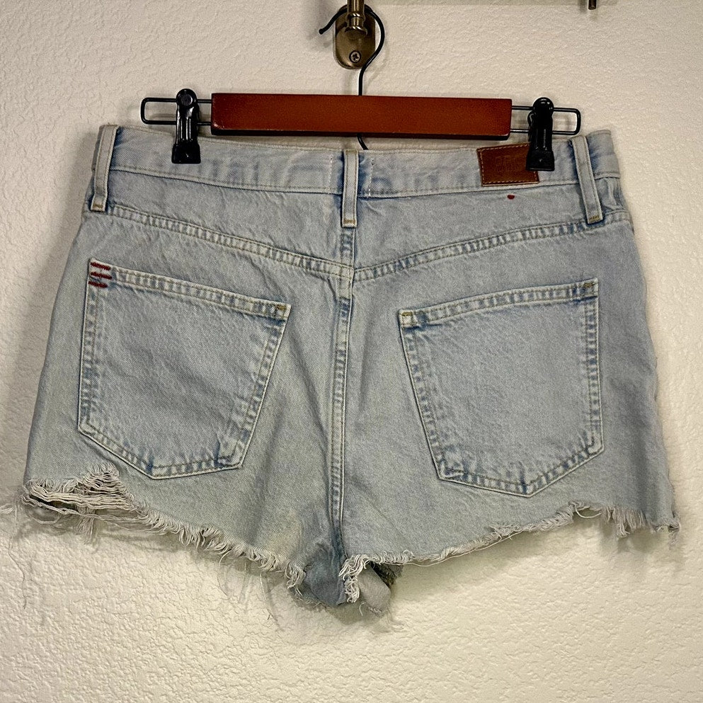 Urban Outfitters BDG Girlfriend High Rise shorts  sz 30